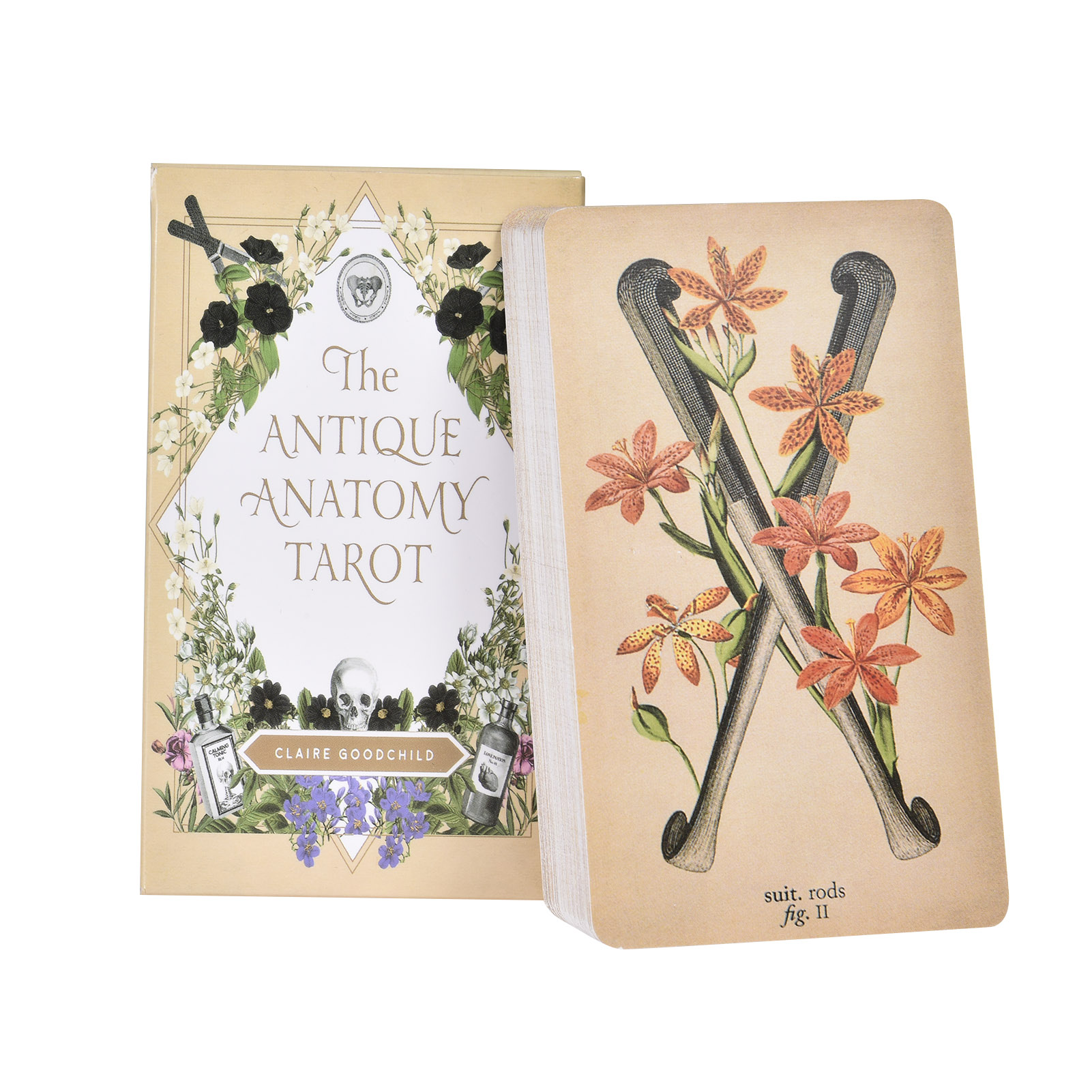 Tarot Cards Deck With Guidebook - Le Carte dei Tarocchi dell'Anatomia Antica,