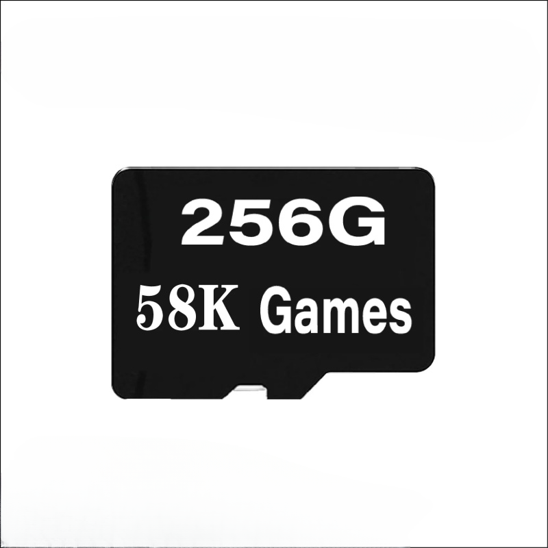 Scheda di memoria per console  - Retro Handheld Game Console R36S recensione e prezzo