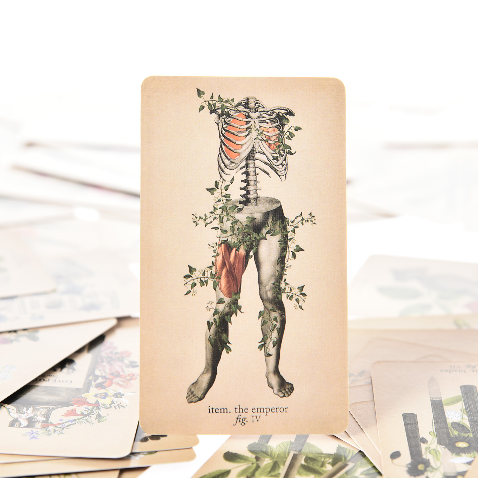 Le Carte dei Tarocchi dell'Ana - Tarot Cards Deck With Guidebook recensione e prezzo
